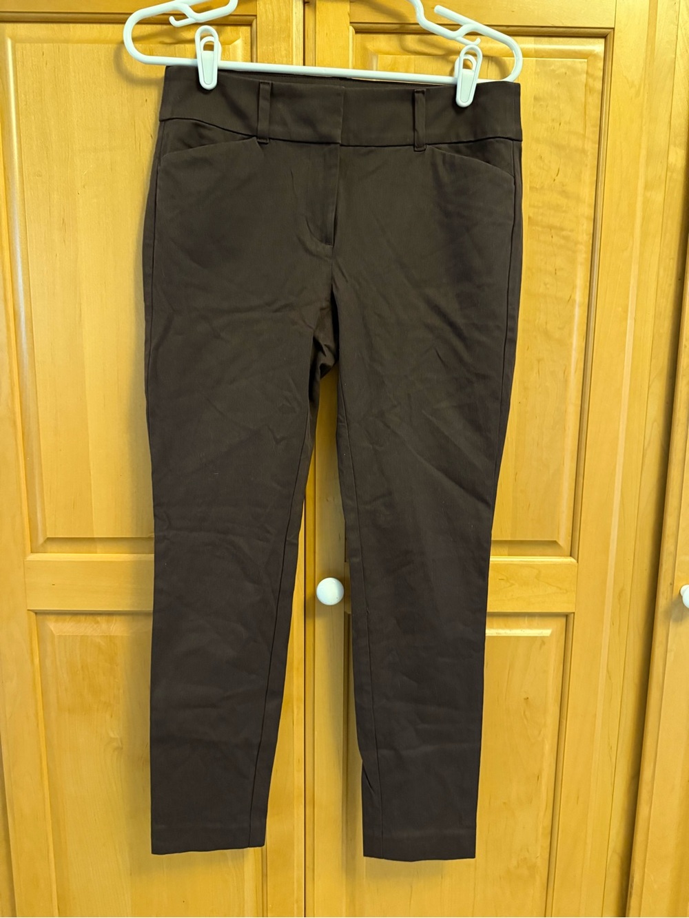 LOFT Chocolate Brown Skinny Ponte Pants